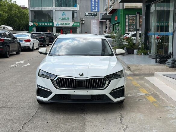 2023 Skoda Octavia IV (A8), белый, 2100000 рублей - вид 1