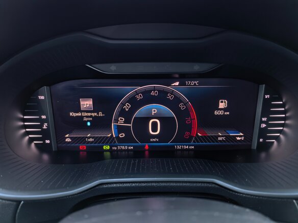 2019 Skoda Octavia III (A7) Рестайлинг, серый - вид 18