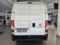 2025 Fiat Professional Ducato, белый - вид 8