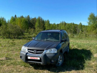 2003 Mazda Tribute I, серый, 400000 рублей, вид 1