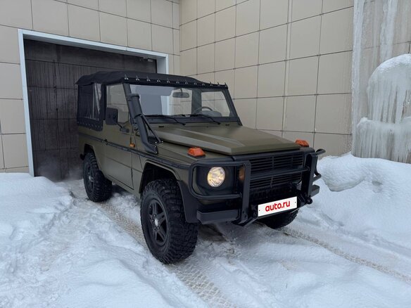 1989 Mercedes-Benz G-Класс 250 I (W460; W461), зелёный - вид 2