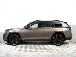 2026 Volkswagen Teramont Pro II (China Market), коричневый, 6300000 рублей, вид 2