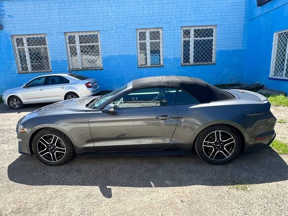2019 Ford Mustang VI Рестайлинг, серый, 1950000 рублей - вид 20