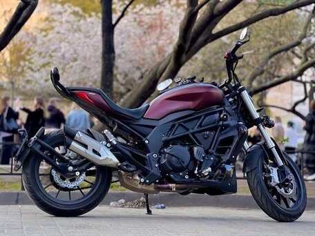 2024 Benelli 502 C, красный, 535000 рублей, вид 3