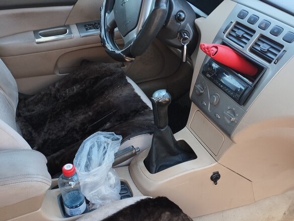 2008 Chery Fora (A21), серый, 150000 рублей - вид 7