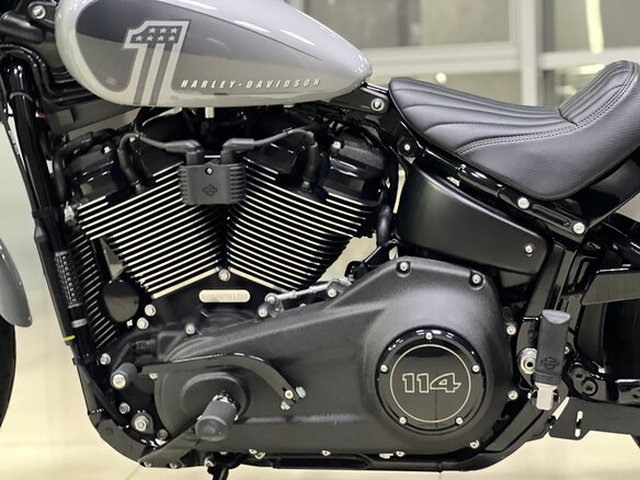 2024 Harley-Davidson Street Bob, серый - вид 10