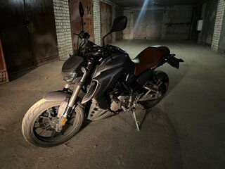 2023 Regulmoto Alien Monster, серый, 299000 рублей, вид 3