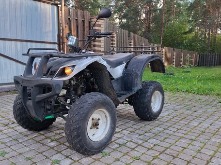 2015 Wels ATV 300, серебристый, 80000 рублей, вид 1