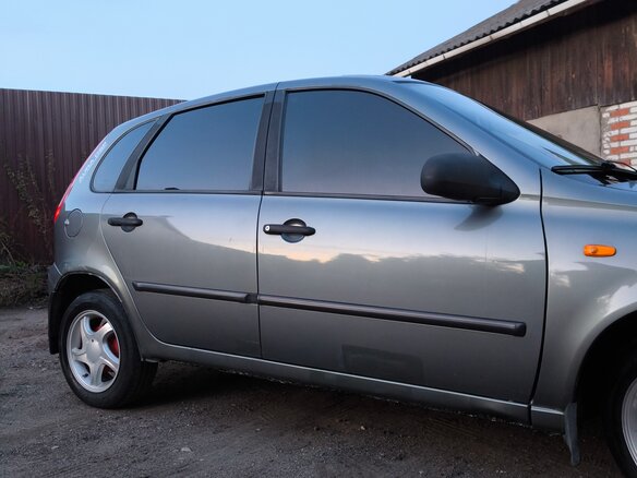 2008 Lada (ВАЗ) Kalina I, серый - вид 18