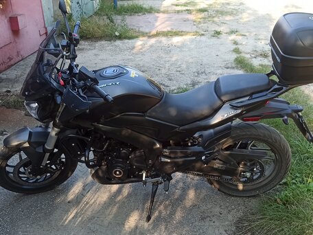 2024 Bajaj Dominar 400, чёрный, 419999 рублей, вид 1