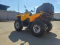 2013 BRP Can-Am Ryker, жёлтый, 750000 рублей - вид 1