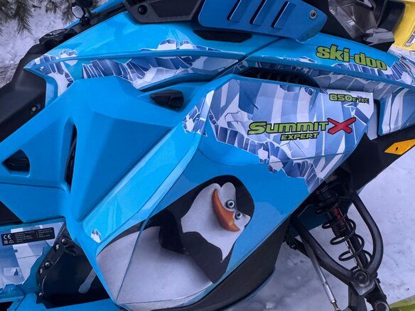 2018 BRP Ski-Doo Summit 850, голубой, 1250100 рублей - вид 7