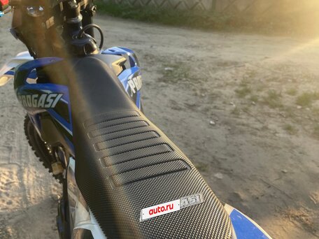 2023 Progasi Super Max 300, синий, 150000 рублей, вид 2