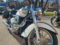 2004 Honda Shadow 750, белый, 500000 рублей - вид 6
