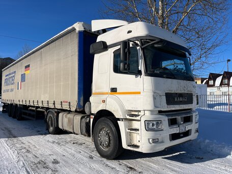 2020 КамАЗ 5490, белый, 2200000 рублей, вид 4