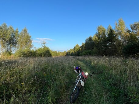 2014 Irbis TTR 125, белый, 105000 рублей, вид 1