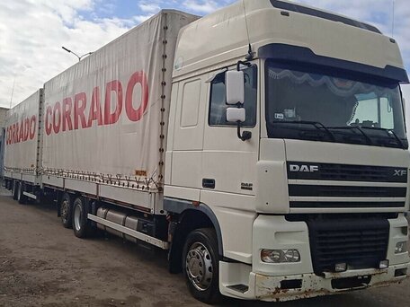 2004 DAF XF 95, белый, 3500000 рублей, вид 5