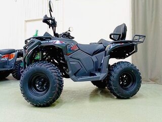 2025 Другие ATV (другие), чёрный, 259900 рублей, вид 1