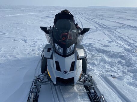 2008 BRP Ski-Doo GTX 1200, серебристый, 1100000 рублей, вид 2