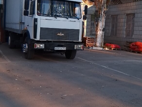 2008 МАЗ 5743, белый, 1300000 рублей - вид 6