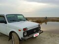 2013 Lada (ВАЗ) 2121 (4x4) I Рестайлинг, белый, 480000 рублей - вид 5