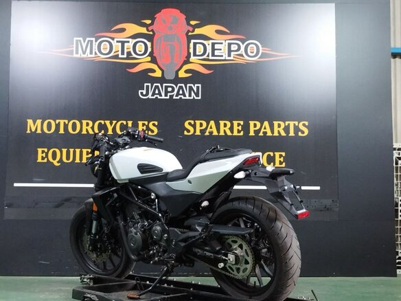 2023 Harley-Davidson X350, белый, 415000 рублей - вид 13