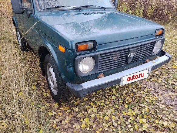 2009 Lada (ВАЗ) 2121 (4x4) I Рестайлинг, зелёный, 295000 рублей - вид 1
