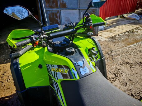 2015 Bashan Explorer 320, зелёный, 499000 рублей, вид 4