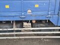 2004 Fuso (Mitsubishi) Fighter, белый, 4770000 рублей - вид 11