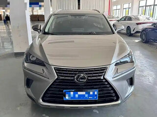 2021 Lexus NX 200 I Рестайлинг, серый, 4150000 рублей, вид 2
