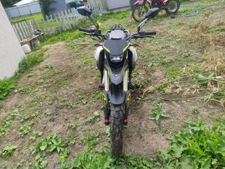 2023 Shineray XY250-11A (COBRA), серый, 108000 рублей, вид 4