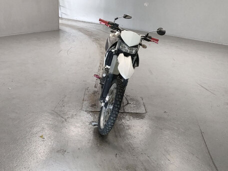2009 Kawasaki KLX 250, белый, 390000 рублей, вид 2
