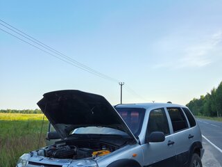 2005 Chevrolet Niva I, серебристый, 210000 рублей, вид 2