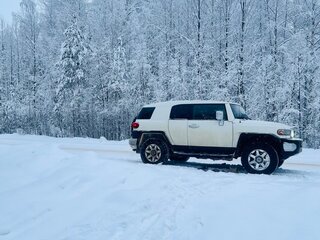 2014 Toyota FJ Cruiser, белый, 3990000 рублей, вид 5