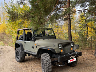 1993 Jeep Wrangler I (YJ), зелёный, 4250000 рублей, вид 5