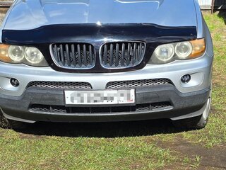 2003 BMW X5 3.0i I (E53) Рестайлинг, серый, 750000 рублей, вид 1
