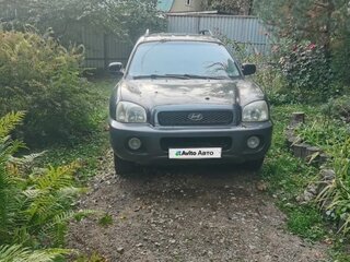 2002 Hyundai Santa Fe I, чёрный, 400000 рублей, вид 1