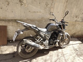2023 Regulmoto T-Leopard 300, серый, 200000 рублей, вид 1