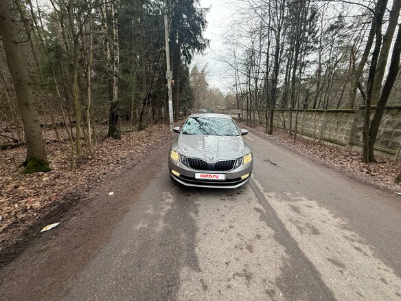 2019 Skoda Octavia III (A7) Рестайлинг, бежевый, 1900000 рублей - вид 20