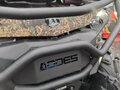 2025 AODES (Odes) Pathcross 1000 Mud Pro, коричневый, 1507000 рублей - вид 3
