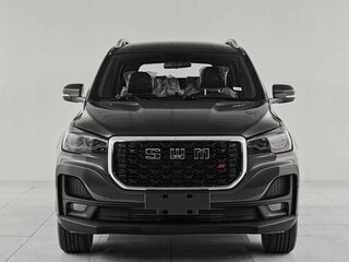 2024 SWM G05 Pro, серый, 1865000 рублей, вид 2