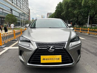 2020 Lexus NX 200 I Рестайлинг, серый, 3100000 рублей, вид 2