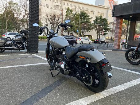 2025 Harley-Davidson Street Bob, серебристый, 1650000 рублей, вид 5