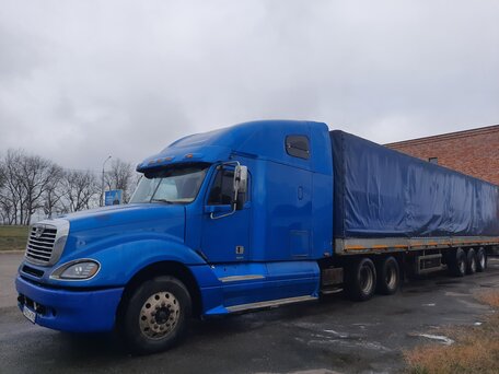 2003 Freightliner Columbia, синий, 1300000 рублей, вид 4