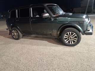 2009 Lada (ВАЗ) 2131 (4x4) Рысь I, серый, 378000 рублей, вид 5