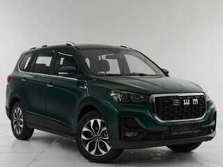 2025 SWM G05 Pro, зелёный, 1847000 рублей, вид 3