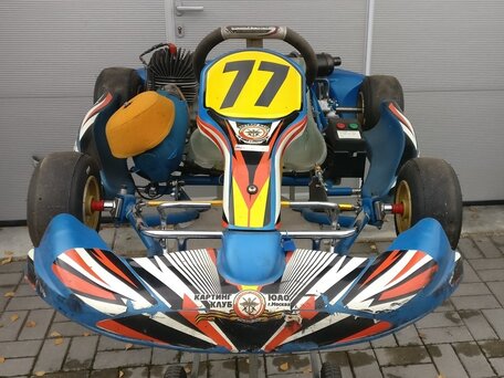 2009 Другие Картинг (другие), синий, 90000 рублей, вид 3