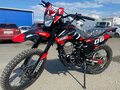 2025 Sycmmc 300, красный, 106000 рублей - вид 1