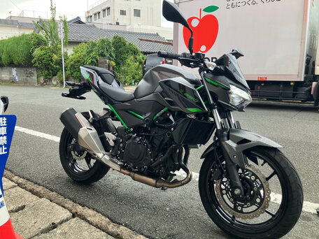 2024 Kawasaki Z 250, серый, 480000 рублей, вид 1