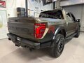 2025 Ford F-150 Raptor XIV Рестайлинг, зелёный - вид 2